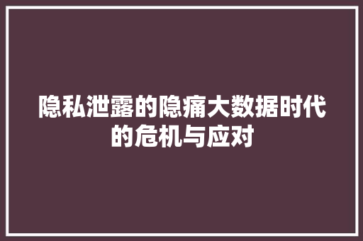 隐私泄露的隐痛大数据时代的危机与应对