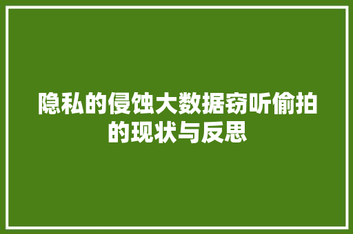 隐私的侵蚀大数据窃听偷拍的现状与反思  第1张