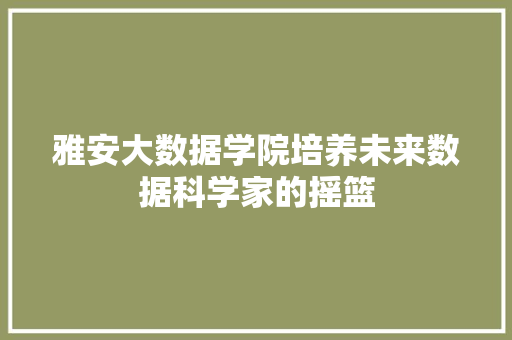 雅安大数据学院培养未来数据科学家的摇篮