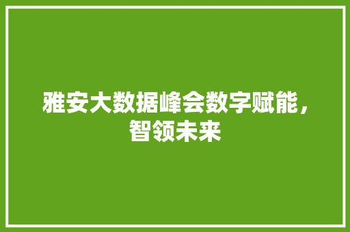 雅安大数据峰会数字赋能，智领未来  第1张