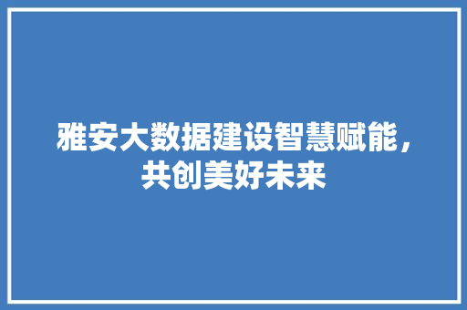 雅安大数据建设智慧赋能，共创美好未来