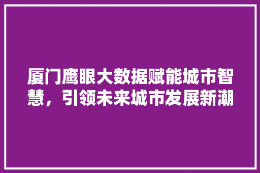 厦门鹰眼大数据赋能城市智慧，引领未来城市发展新潮流  第1张