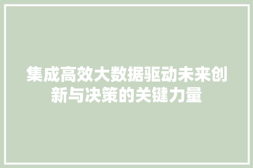 集成高效大数据驱动未来创新与决策的关键力量  第1张