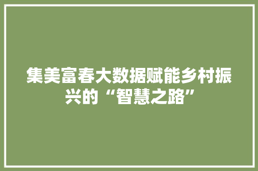 集美富春大数据赋能乡村振兴的“智慧之路”