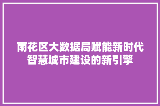 雨花区大数据局赋能新时代智慧城市建设的新引擎  第1张