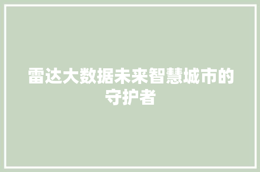 雷达大数据未来智慧城市的守护者