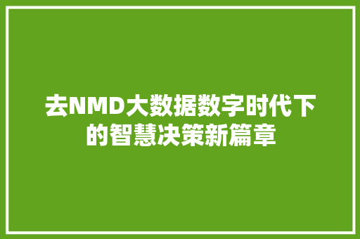 去NMD大数据数字时代下的智慧决策新篇章  第1张
