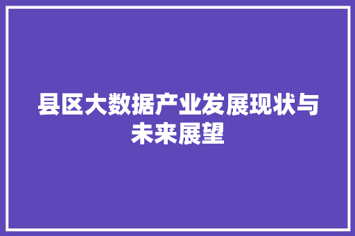 县区大数据产业发展现状与未来展望