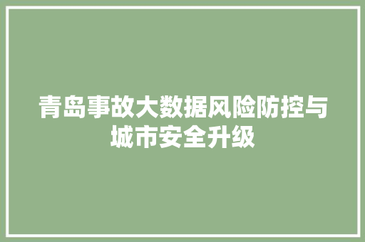 青岛事故大数据风险防控与城市安全升级