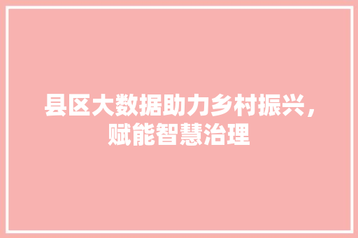 县区大数据助力乡村振兴，赋能智慧治理  第1张