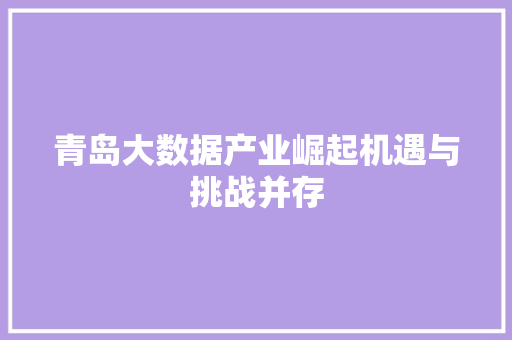 青岛大数据产业崛起机遇与挑战并存  第1张
