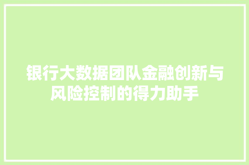 银行大数据团队金融创新与风险控制的得力助手  第1张