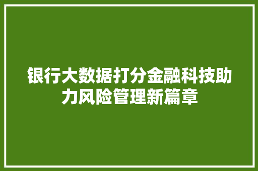银行大数据打分金融科技助力风险管理新篇章