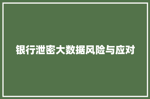 银行泄密大数据风险与应对