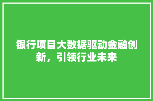 银行项目大数据驱动金融创新，引领行业未来