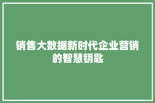 销售大数据新时代企业营销的智慧钥匙