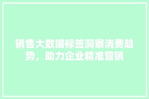销售大数据标签洞察消费趋势，助力企业精准营销