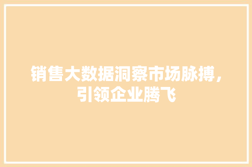 销售大数据洞察市场脉搏，引领企业腾飞