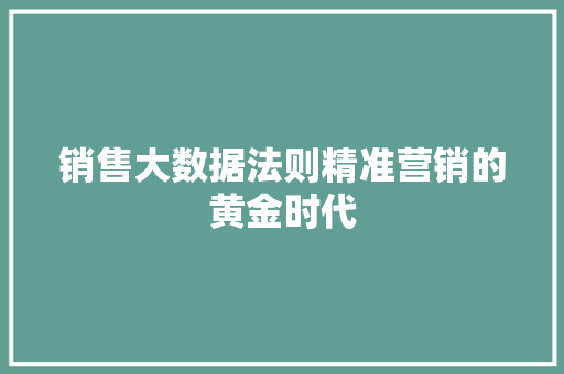 销售大数据法则精准营销的黄金时代