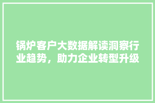 锅炉客户大数据解读洞察行业趋势，助力企业转型升级
