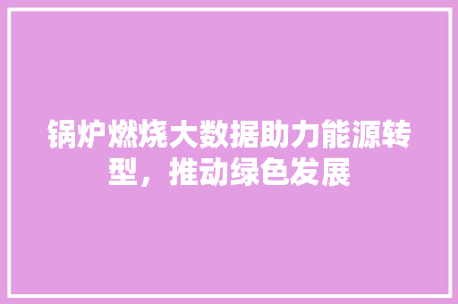 锅炉燃烧大数据助力能源转型，推动绿色发展  第1张