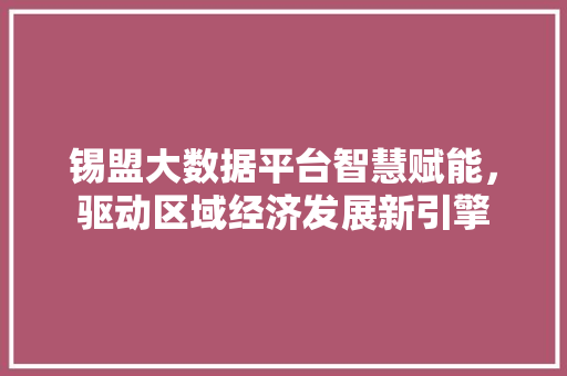 锡盟大数据平台智慧赋能，驱动区域经济发展新引擎  第1张
