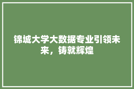 锦城大学大数据专业引领未来，铸就辉煌