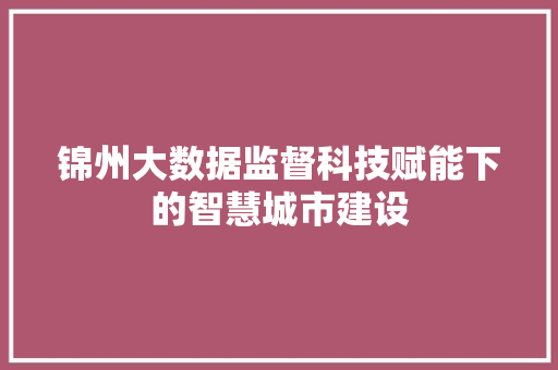 锦州大数据监督科技赋能下的智慧城市建设