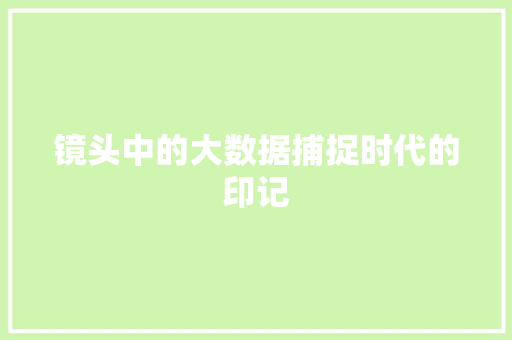 镜头中的大数据捕捉时代的印记