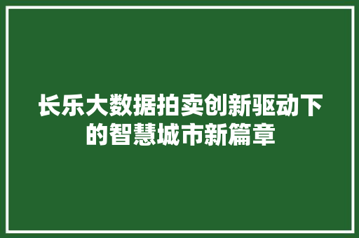 长乐大数据拍卖创新驱动下的智慧城市新篇章  第1张