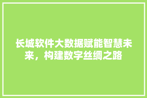 长城软件大数据赋能智慧未来，构建数字丝绸之路  第1张