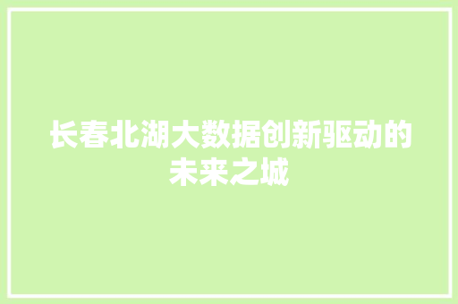 长春北湖大数据创新驱动的未来之城