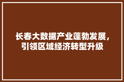 长春大数据产业蓬勃发展，引领区域经济转型升级  第1张