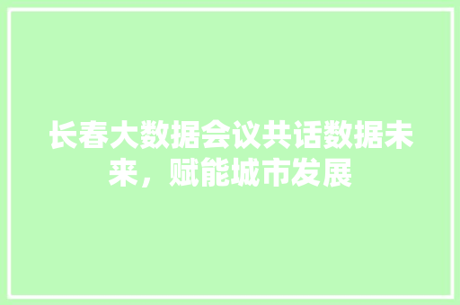 长春大数据会议共话数据未来，赋能城市发展  第1张