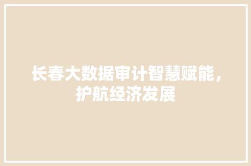 长春大数据审计智慧赋能，护航经济发展