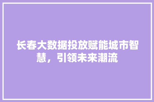 长春大数据投放赋能城市智慧，引领未来潮流