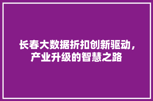 长春大数据折扣创新驱动，产业升级的智慧之路