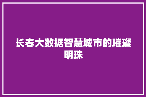 长春大数据智慧城市的璀璨明珠