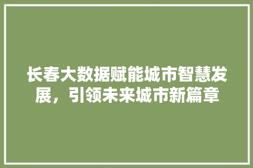 长春大数据赋能城市智慧发展，引领未来城市新篇章