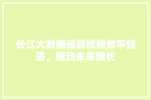 长江大数据运营赋能数字经济，驱动未来增长  第1张