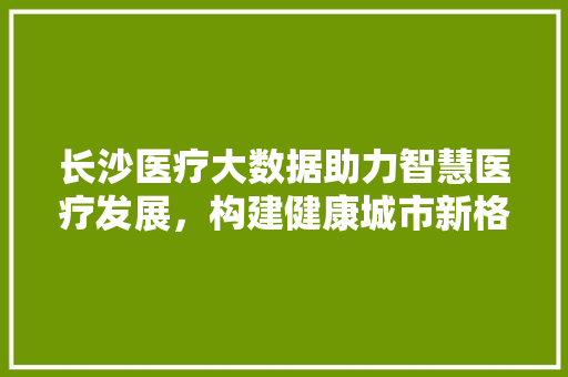 长沙医疗大数据助力智慧医疗发展，构建健康城市新格局