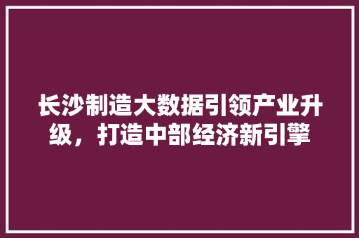 长沙制造大数据引领产业升级，打造中部经济新引擎