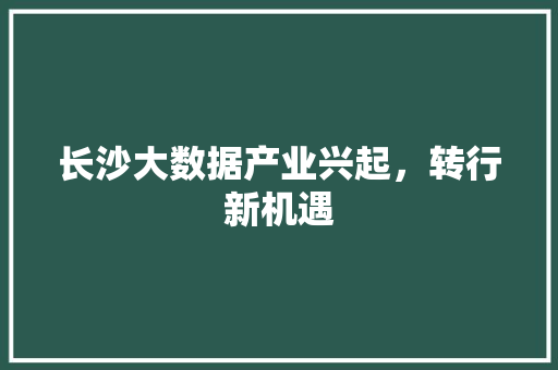 长沙大数据产业兴起，转行新机遇