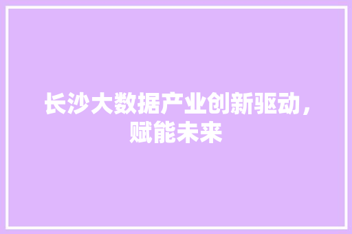 长沙大数据产业创新驱动，赋能未来  第1张