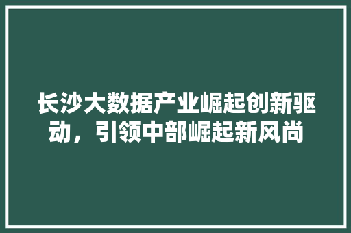 长沙大数据产业崛起创新驱动，引领中部崛起新风尚  第1张