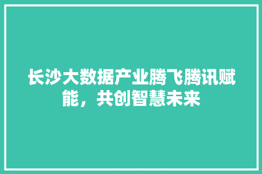 长沙大数据产业腾飞腾讯赋能，共创智慧未来  第1张