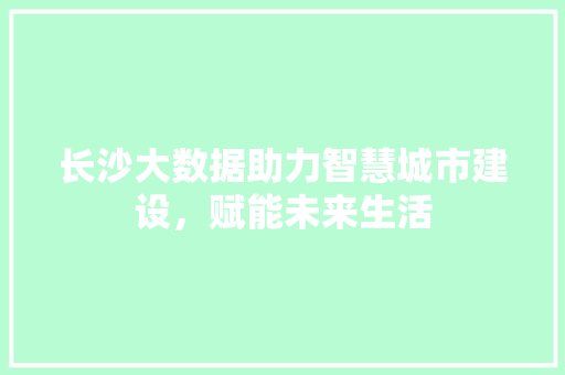 长沙大数据助力智慧城市建设，赋能未来生活  第1张