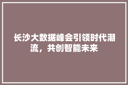 长沙大数据峰会引领时代潮流，共创智能未来  第1张