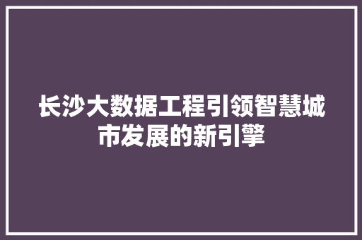 长沙大数据工程引领智慧城市发展的新引擎