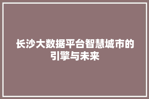 长沙大数据平台智慧城市的引擎与未来  第1张